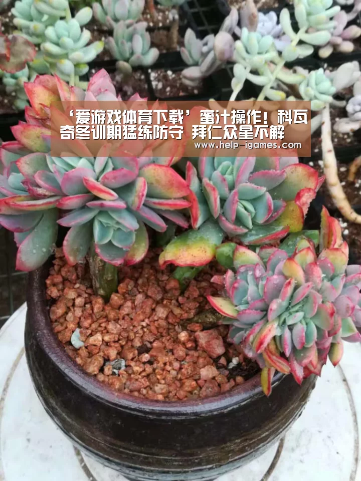 爱游戏下载